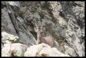 IMG_1525  